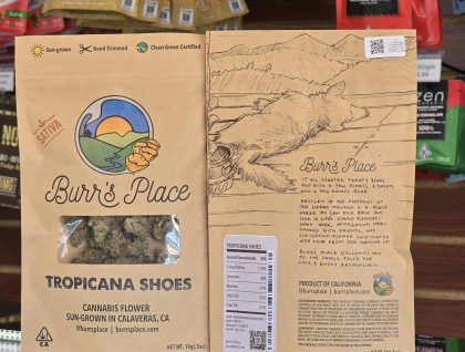 Burr's Place Tropicana Shoes 14g Flower